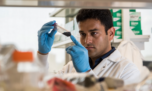 a researcher inspects vial with gloved hands in a lab